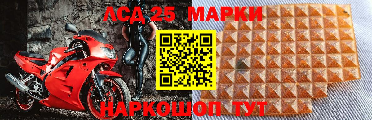 Балабаново  Наркотические марки  Наркотические марки 1500мкг  где купить наркотик  Наркотические марки 1500мкг  Вход с VPN 