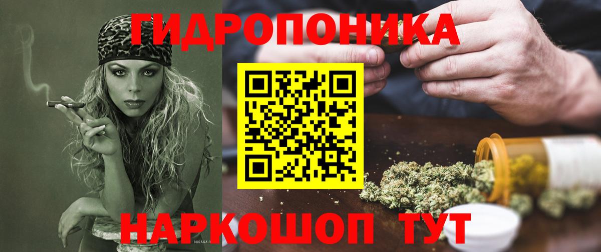 Бошки марихуана семена  Бошки марихуана Bruce Banner  Вход с VPN  Балабаново  Конопля гибрид  Бошки марихуана конопля 